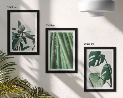 3-piece wall art set Bamboo stems houseplant and monstera leaves