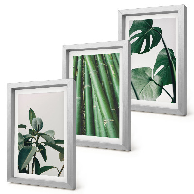 3-piece wall art set Bamboo stems houseplant and monstera leaves
