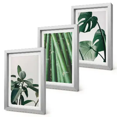 3-piece wall art set featuring bamboo stems and monstera leaves