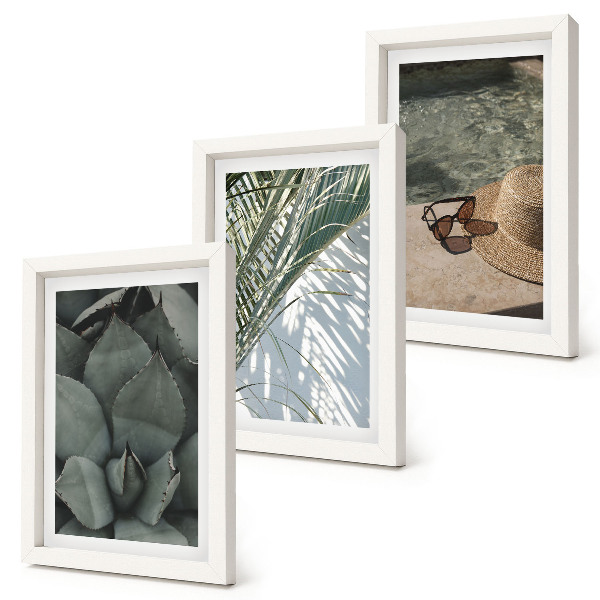 Photo frame wall Tropical plants and summer holiday accents