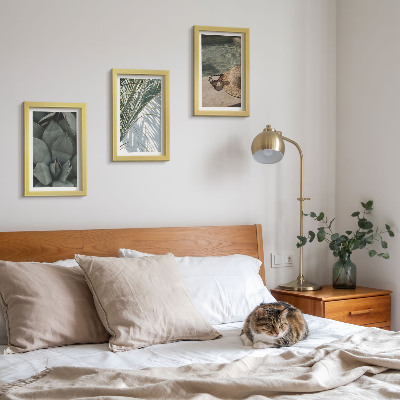 Photo frame wall Tropical plants and summer holiday accents