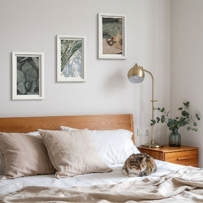 Photo frame wall Tropical plants and summer holiday accents