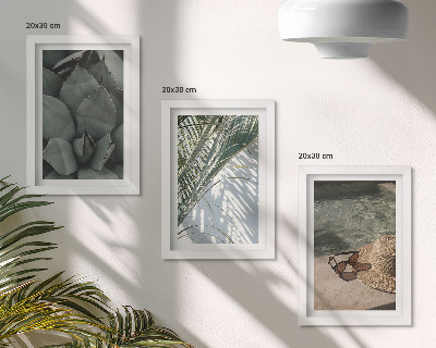 Photo frame wall Tropical plants and summer holiday accents