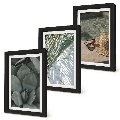 Photo frame wall Tropical plants and summer holiday accents