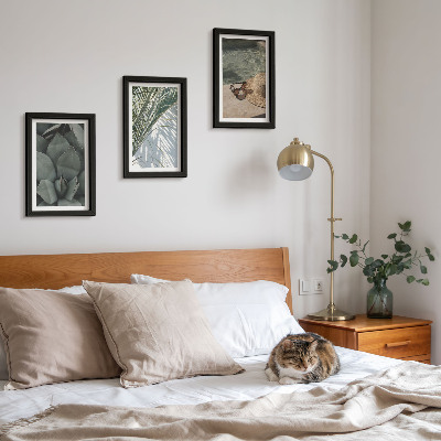 Photo frame wall Tropical plants and summer holiday accents
