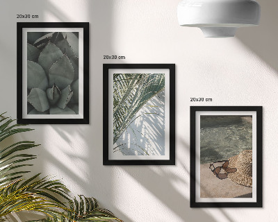 Photo frame wall Tropical plants and summer holiday accents