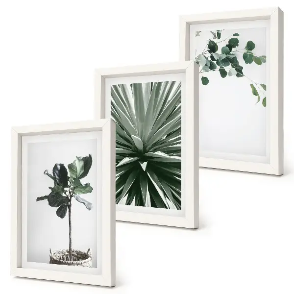 3-piece wall art set featuring green plants in a minimalist style