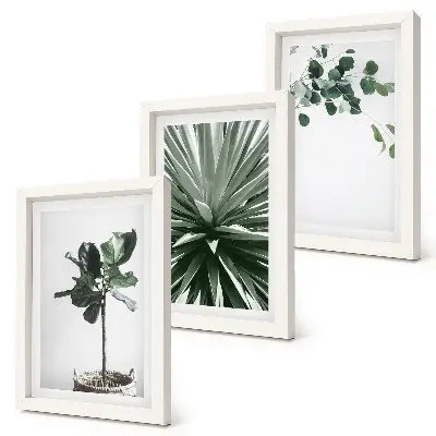 3-piece wall art set featuring green plants in a minimalist style