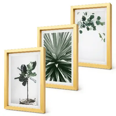3-piece wall art set featuring green plants in a minimalist style