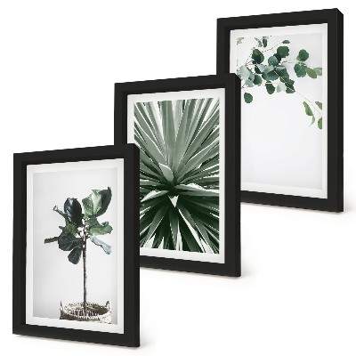 3-piece wall art set Green plants in a minimalist style