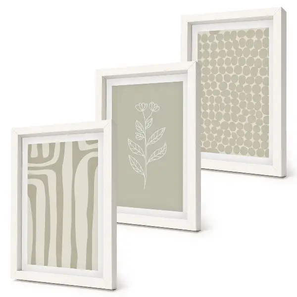 Photo frame wall with plant and geometric patterns in subdued colors