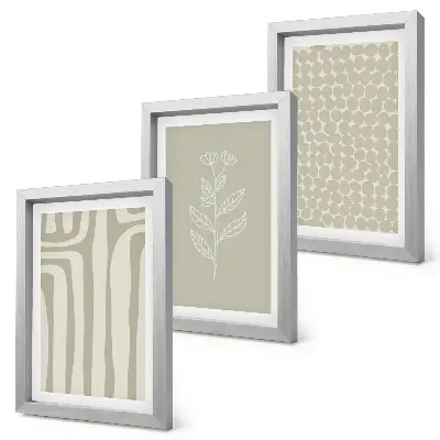 Photo frame wall with plant and geometric patterns in subdued colors