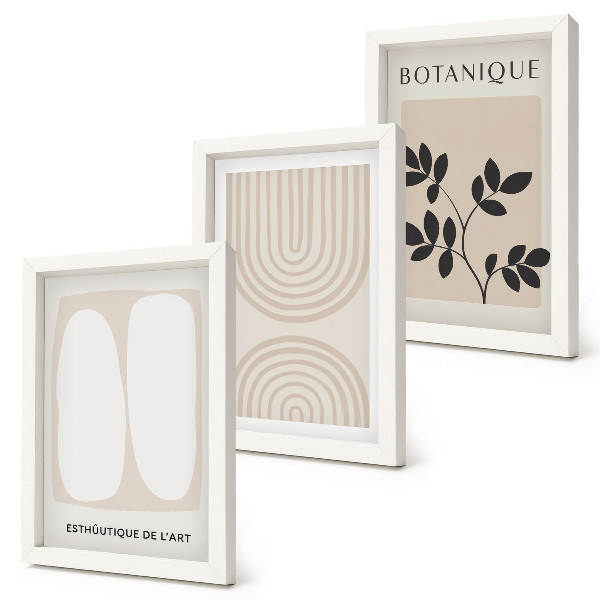 3-piece wall art set Boho delicate posters abstract plant motifs
