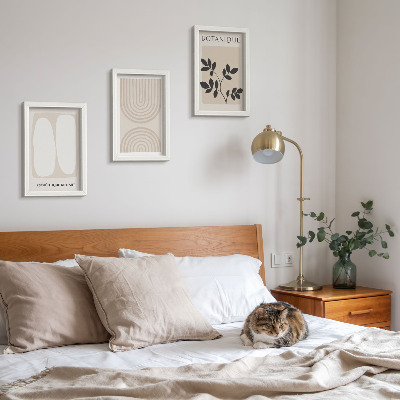 3-piece wall art set Boho delicate posters abstract plant motifs