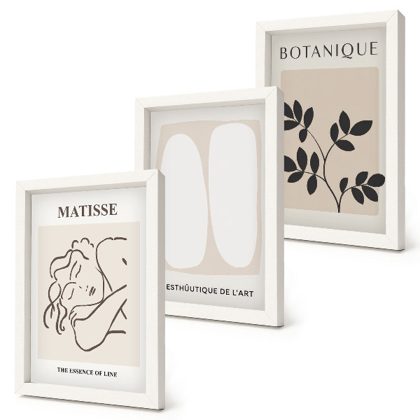 Framed triptych Stylish minimalist paintings with plant motifs by Matisse