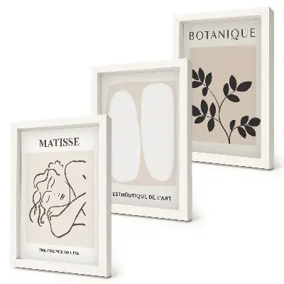 Matisse inspired minimalist plant motif paintings framed triptych set