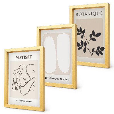 Framed triptych Stylish minimalist paintings with plant motifs by Matisse