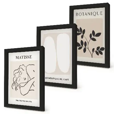 Matisse inspired minimalist plant motif paintings framed triptych set