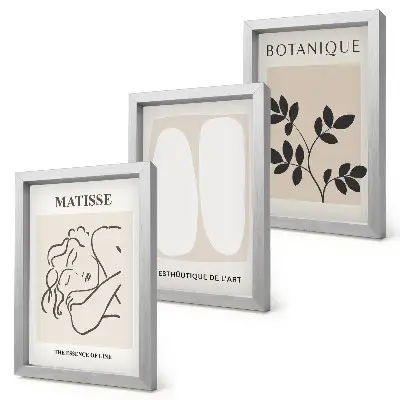 Matisse inspired minimalist plant motif paintings framed triptych set