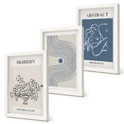 3-piece wall art set Flowers lines and abstract shapes posters