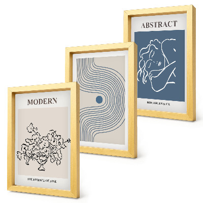 3-piece wall art set Flowers lines and abstract shapes posters