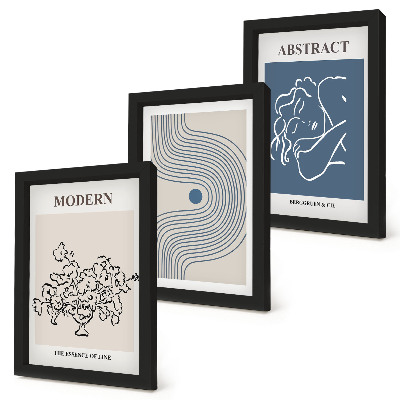 3-piece wall art set Flowers lines and abstract shapes posters
