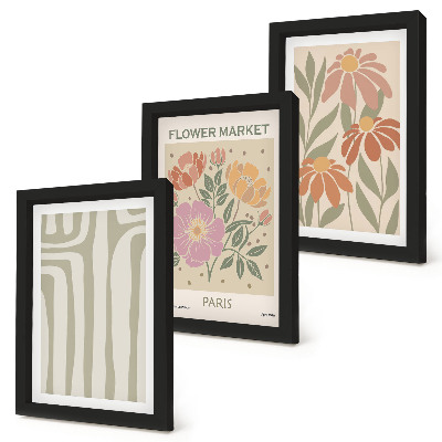 3-piece wall art set Botanical motifs poster Paris minimalism