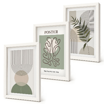 Framed triptych Geometric abstract botanical patterns poster