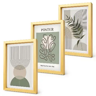 Geometric abstract botanical patterns poster framed triptych