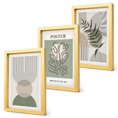 Framed triptych Geometric abstract botanical patterns poster