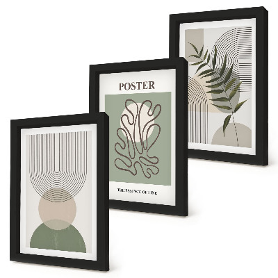 Framed triptych Geometric abstract botanical patterns poster