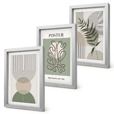 Framed triptych Geometric abstract botanical patterns poster