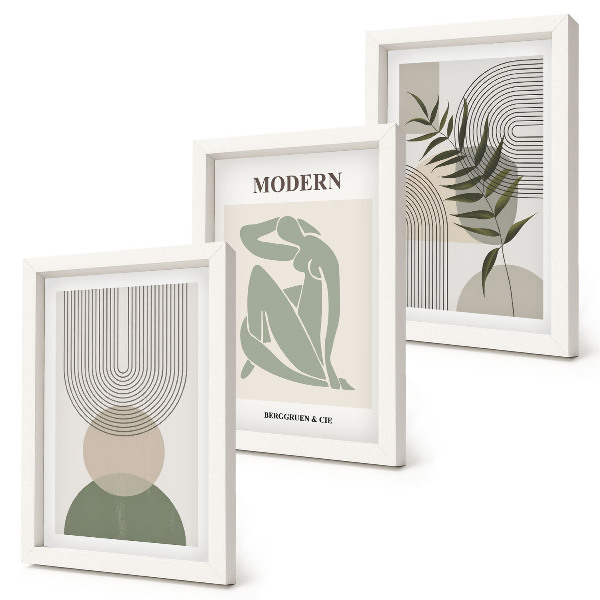 3-piece wall art set Stylish graphics with abstract shapes and plants