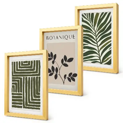 3-piece botanical wall art set in a boho minimalist style
