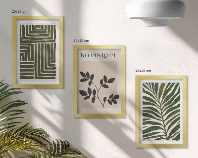 3-piece wall art set Botanical compositions in the style of boho minimalism
