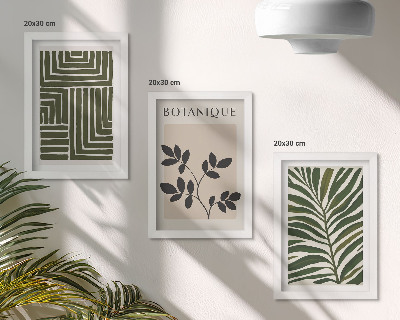 3-piece wall art set Botanical compositions in the style of boho minimalism