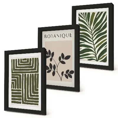 3-piece botanical wall art set in a boho minimalist style