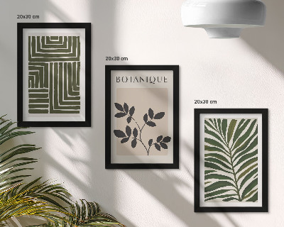3-piece wall art set Botanical compositions in the style of boho minimalism