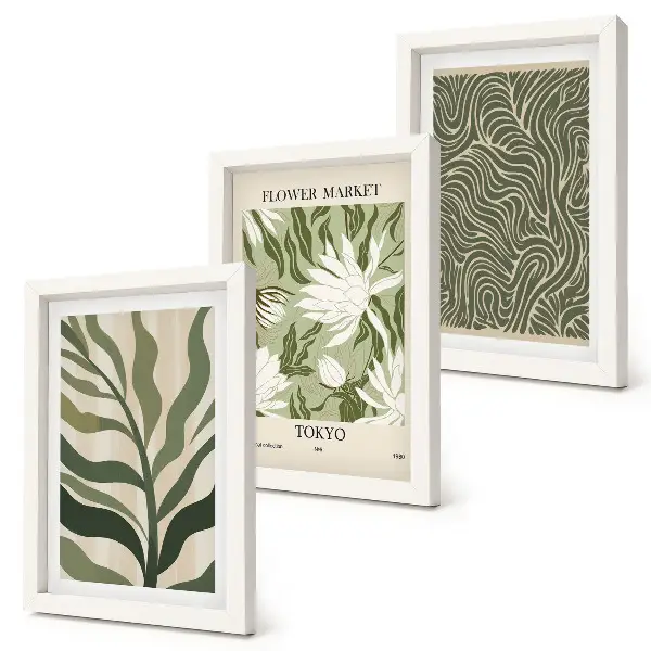 3-piece botanical wall art set boho style plant patterns