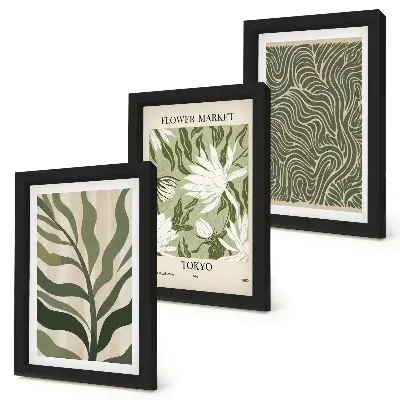 3-piece botanical wall art set boho style plant patterns