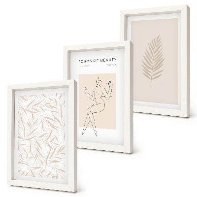 Framed triptych Minimalist botanical design motifs
