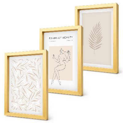 Framed triptych Minimalist botanical design motifs