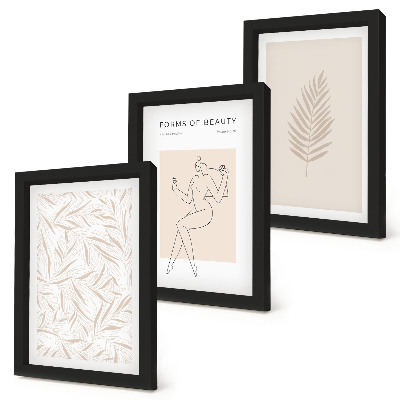 Framed triptych Minimalist botanical design motifs