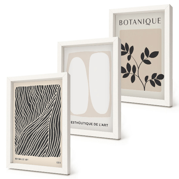 3-piece wall art set Floral patterns and minimalist lines in neutral colors