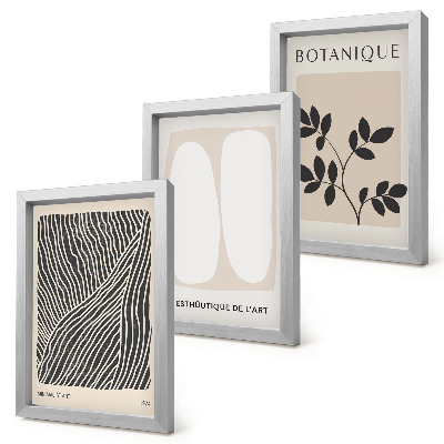 3-piece wall art set Floral patterns and minimalist lines in neutral colors