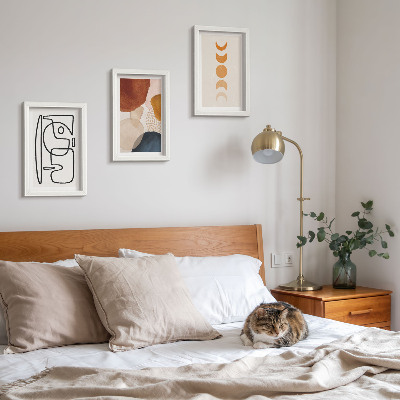 Photo frame wall Abstract shapes and colors fashionable decorations