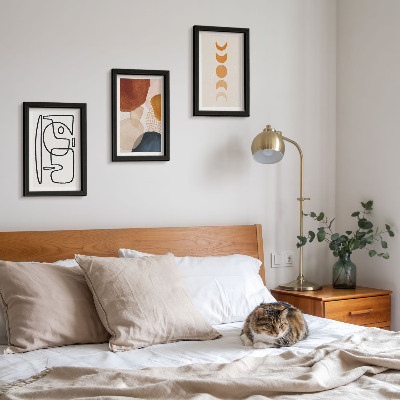 Photo frame wall Abstract shapes and colors fashionable decorations
