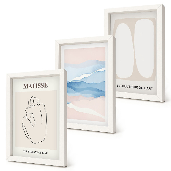 Framed triptych Matisse's abstract forms and delicate colors