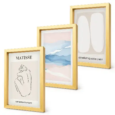 Matisse abstract forms and delicate colors triptych framed