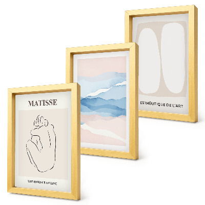 Framed triptych Matisse's abstract forms and delicate colors
